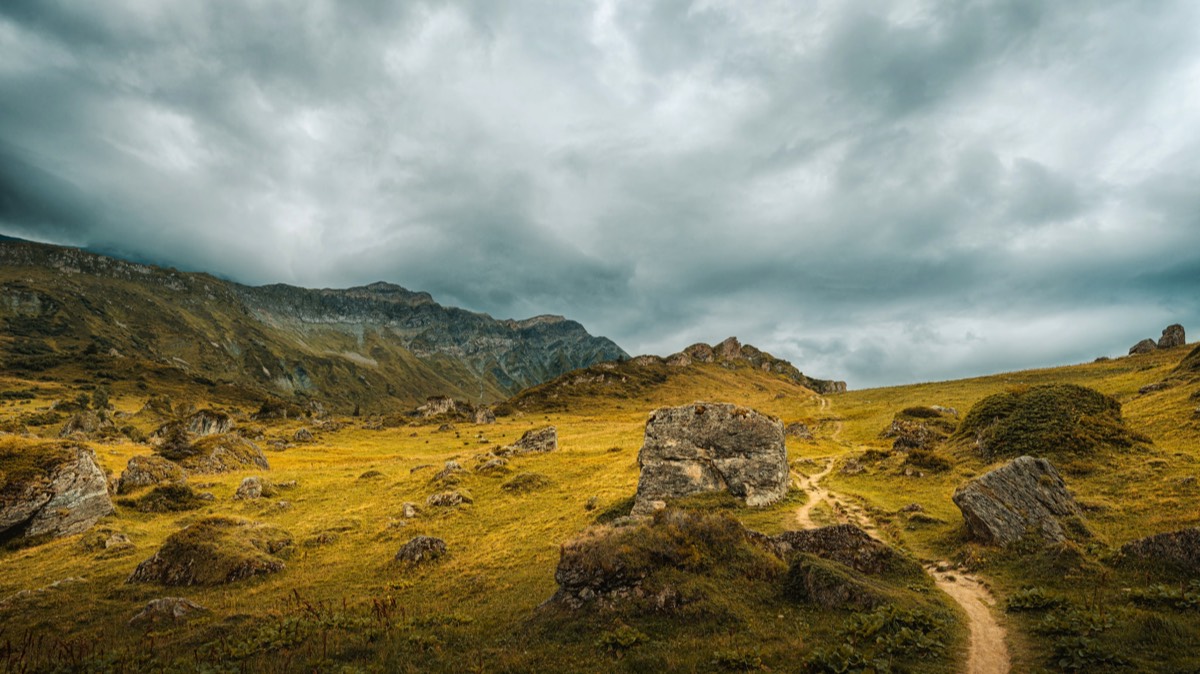 Stacks Image 4444