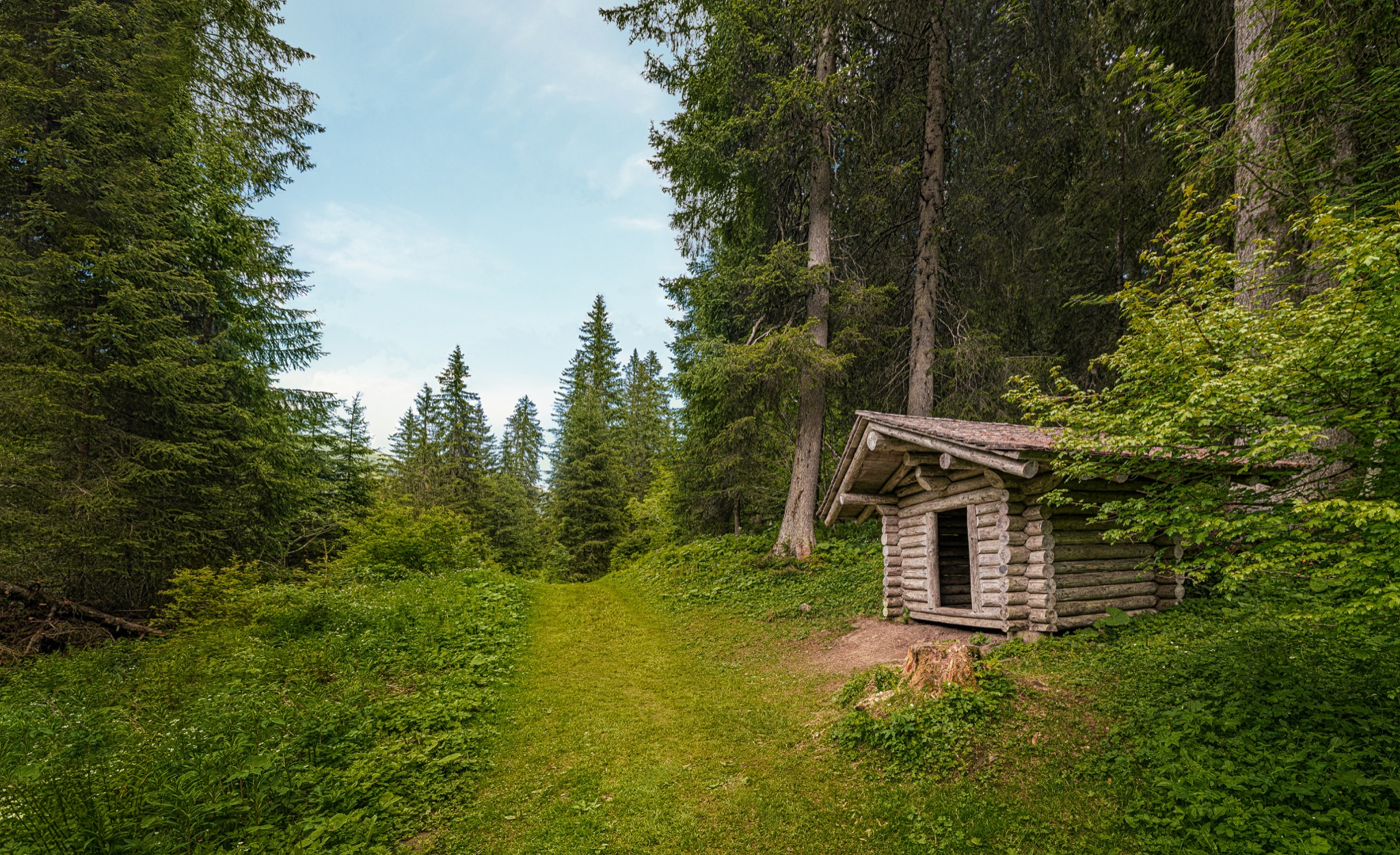  Trapper Hut 