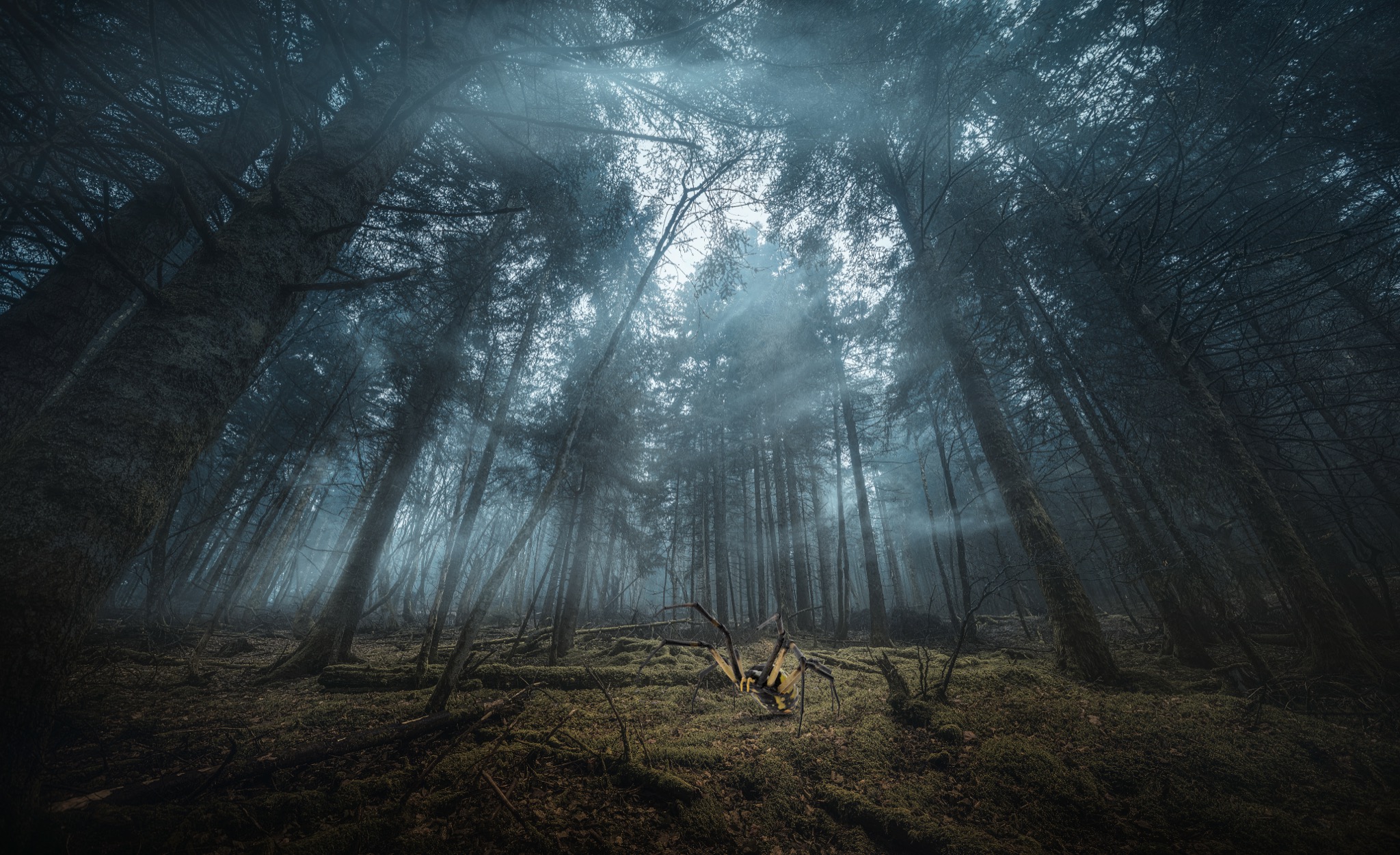  Terrifying Encounter in Primeval Forest 
